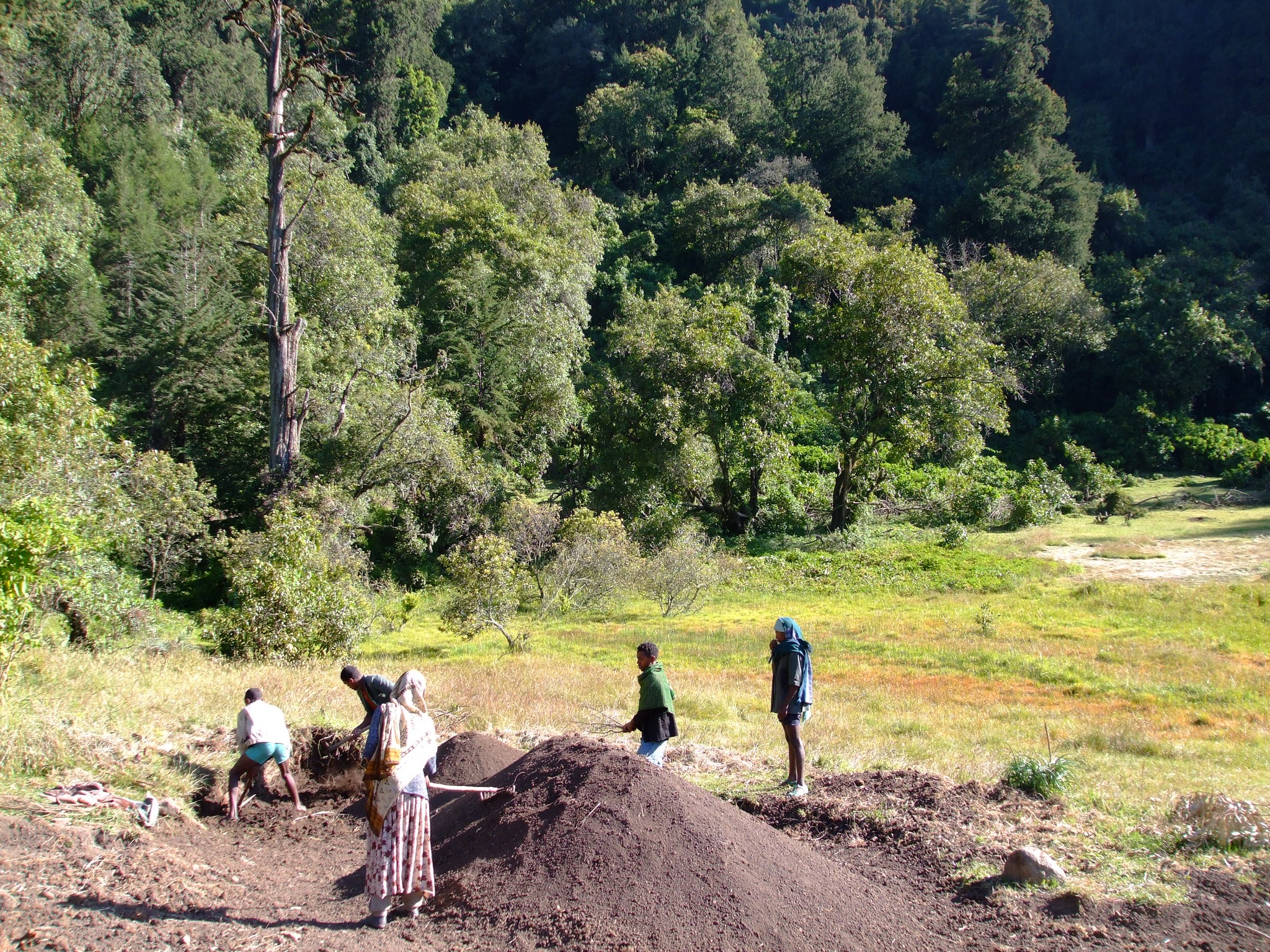 Volunteers supporting community services
