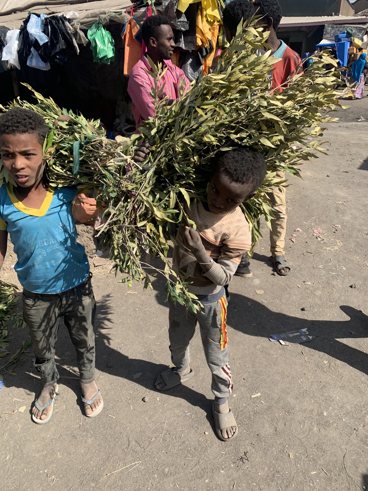 Support and learning in the community